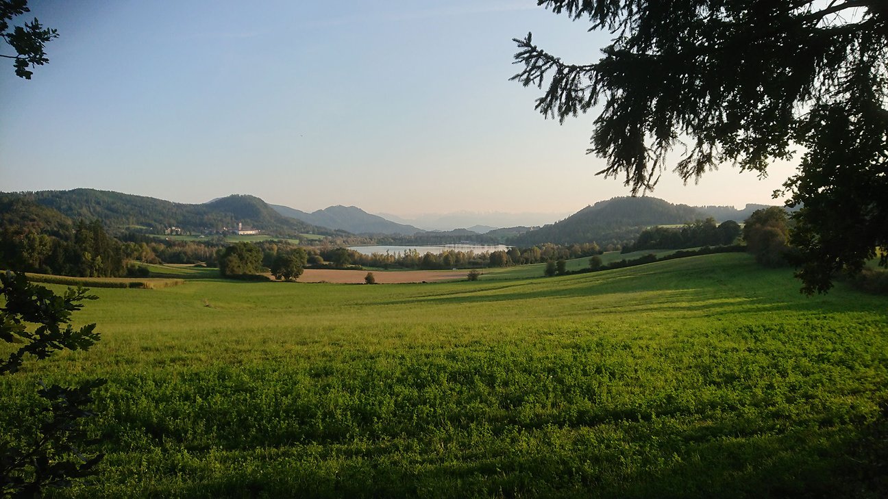 Bild vom Längsee