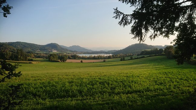 Bild vom Längsee